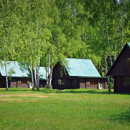Prázdninový dům Stribrny Rybnik-4 By Interhome *