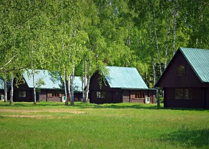 Prázdninový dům Stribrny Rybnik-4 By Interhome *